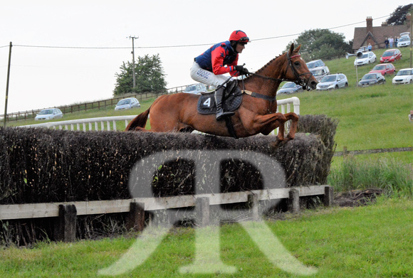 The woodland Pytchley Point to Point 2018 524