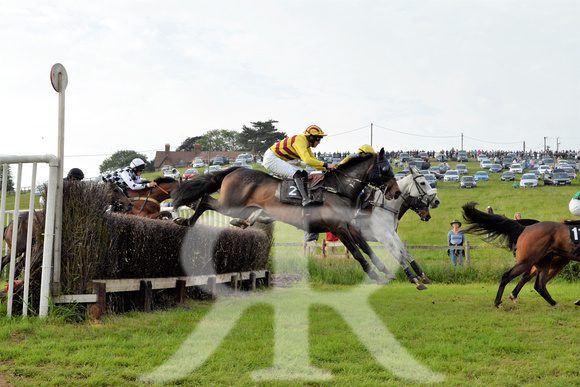 The woodland Pytchley Point to Point 2018 467
