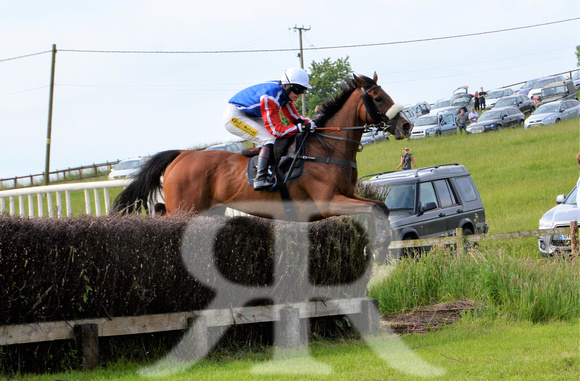 The woodland Pytchley Point to Point 2018 259
