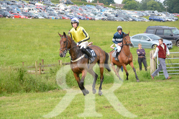 The woodland Pytchley Point to Point 2018 287