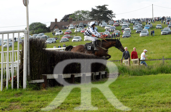 The woodland Pytchley Point to Point 2018 488