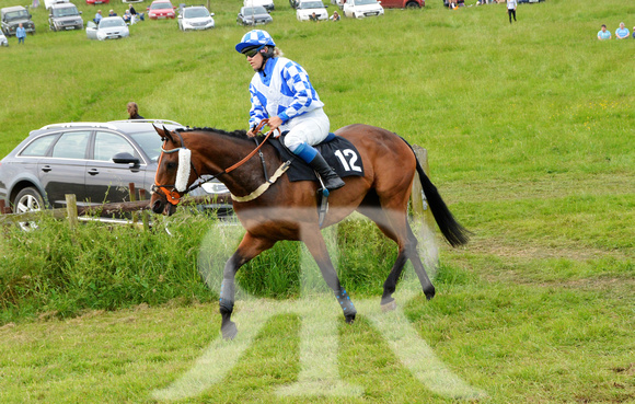 The woodland Pytchley Point to Point 2018 370