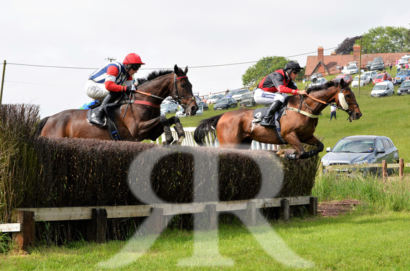 The woodland Pytchley Point to Point 2018 091
