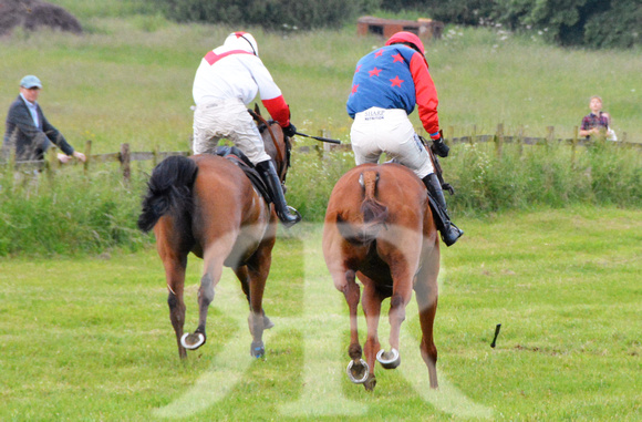 The woodland Pytchley Point to Point 2018 537