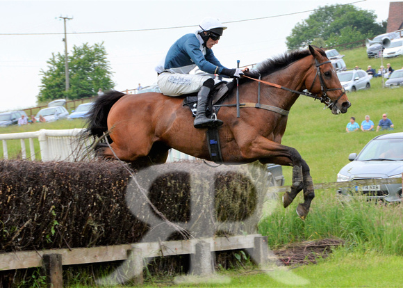The woodland Pytchley Point to Point 2018 313