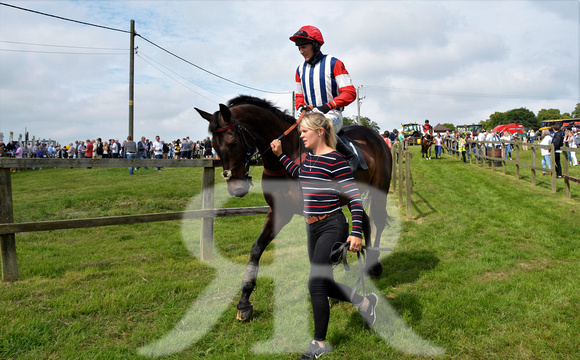 The woodland Pytchley Point to Point 2018 084