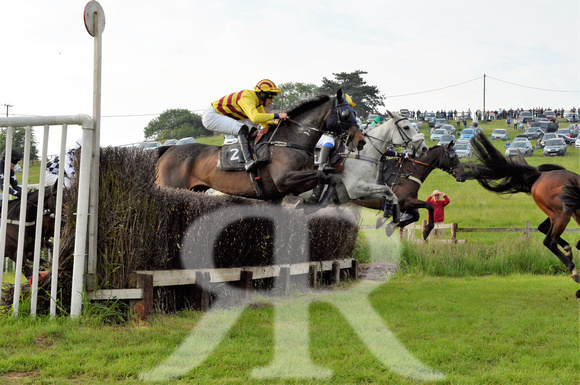The woodland Pytchley Point to Point 2018 466