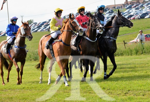 The woodland Pytchley Point to Point 2018 226