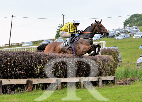 The woodland Pytchley Point to Point 2018 309