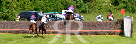 The woodland Pytchley Point to Point 2018 168