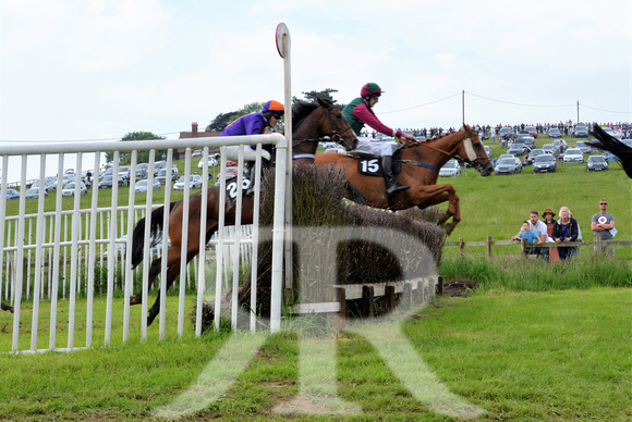 The woodland Pytchley Point to Point 2018 392