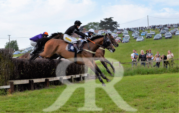 The woodland Pytchley Point to Point 2018 406