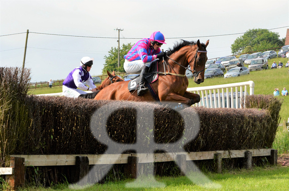 The woodland Pytchley Point to Point 2018 174