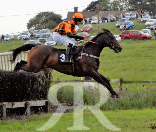 The woodland Pytchley Point to Point 2018 535
