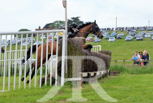 The woodland Pytchley Point to Point 2018 389