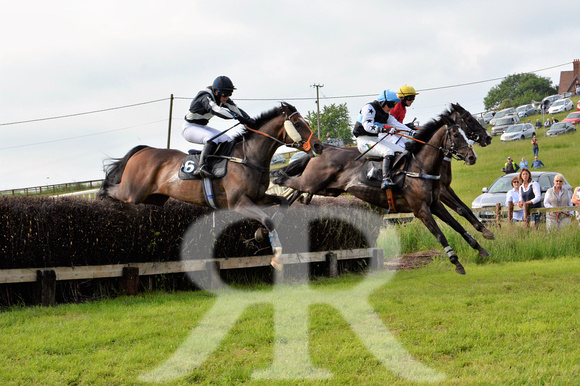 The woodland Pytchley Point to Point 2018 254