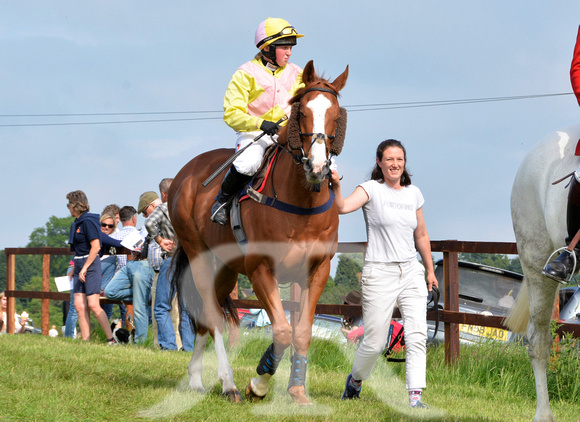 The woodland Pytchley Point to Point 2018 215