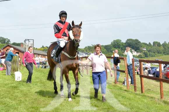 The woodland Pytchley Point to Point 2018 085