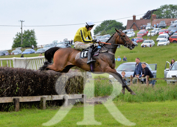 The woodland Pytchley Point to Point 2018 310