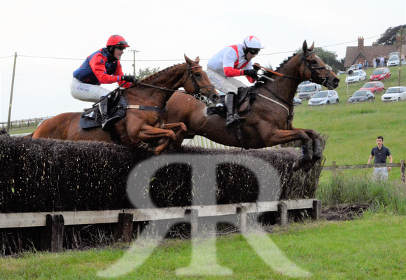 The woodland Pytchley Point to Point 2018 531