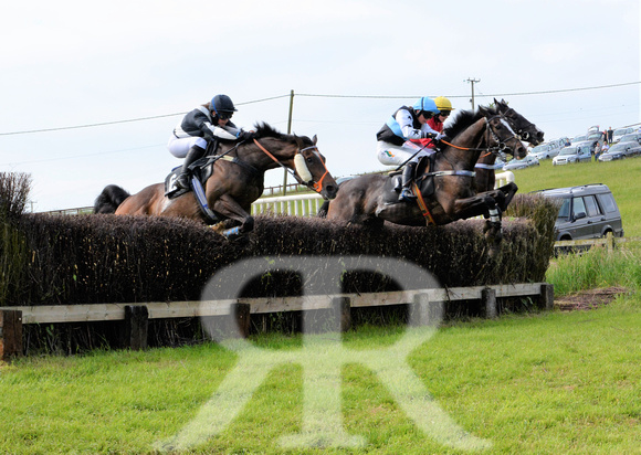 The woodland Pytchley Point to Point 2018 253