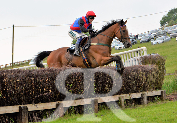 The woodland Pytchley Point to Point 2018 319