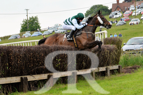 The woodland Pytchley Point to Point 2018 323