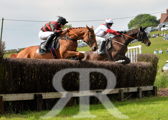 The woodland Pytchley Point to Point 2018 177
