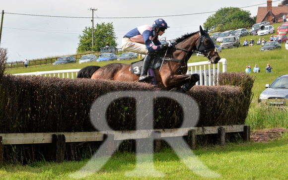 The woodland Pytchley Point to Point 2018 173