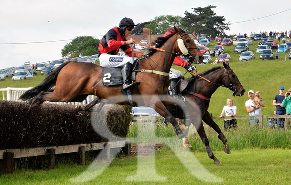 The woodland Pytchley Point to Point 2018 111