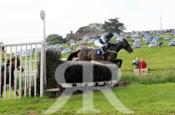 The woodland Pytchley Point to Point 2018 481