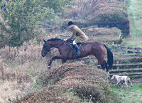 Fernie Autumn Hound Training at Fernivals 2024 030