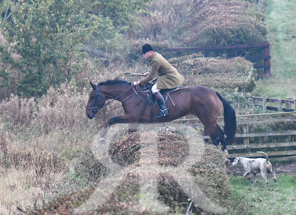 Fernie Autumn Hound Training at Fernivals 2024 030