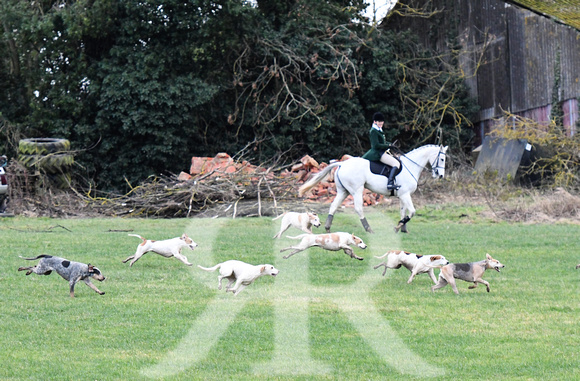 Cambridge University Drag Hounds at Marston Trussell 2019 161