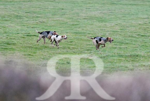 Cambridgeshire Drag Hounds at Marston Trussell 2024 226