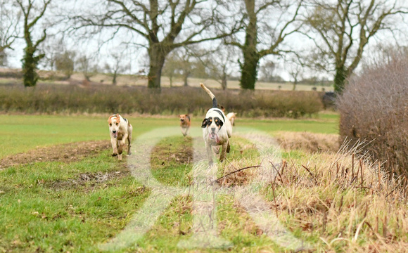 Cambridgeshire Drag Hounds at Marston Trussell 2024 325