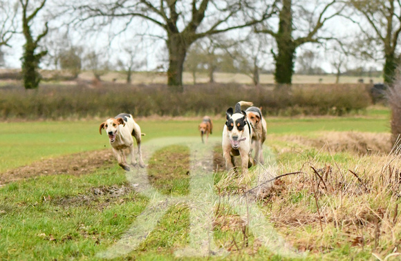 Cambridgeshire Drag Hounds at Marston Trussell 2024 327