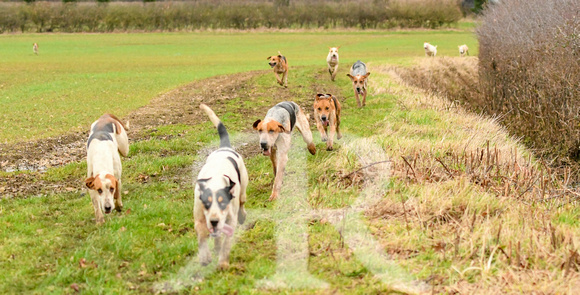 Cambridgeshire Drag Hounds at Marston Trussell 2024 329