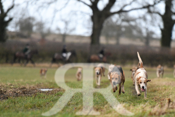 Cambridge Drag Hounds at Mill Farm Marston Trussell 2022 435