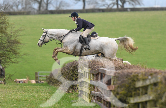 Fernie at Thornhill Farm Gumley 2024 363