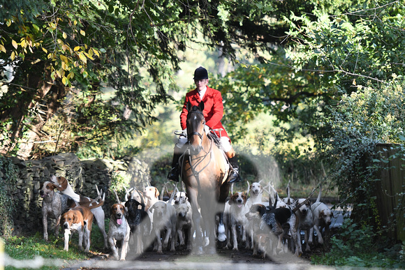 Quorn at Woodhouse Eaves opening meet 2019 015