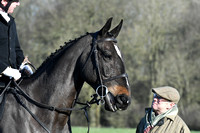 Fernie at Shangton Holt 2020 011