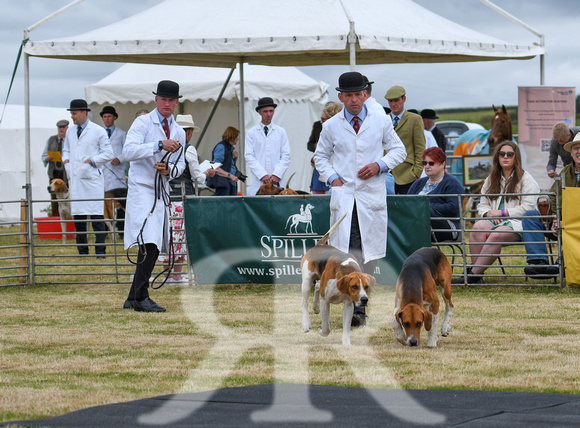 Blaston Hound Show 2024 010