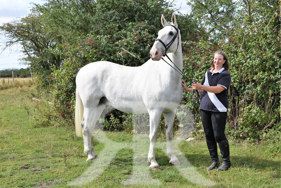 Mandy Cobb Horses 092