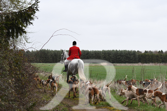 Woodland Pytchley Hunt Final Day part 1 907