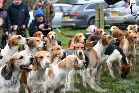 Woodland Pytchley Hunt Final Day part 1 409