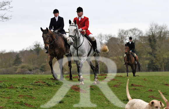 Woodland Pytchley Hunt Final Day part 1 833