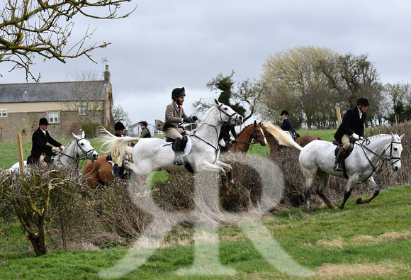 Woodland Pytchley Hunt Final Day part 1 647