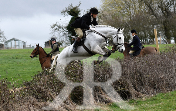 Woodland Pytchley Hunt Final Day part 1 645