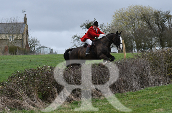 Woodland Pytchley Hunt Final Day part 1 592